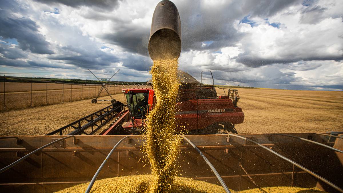 Seca trazida por La Niña impede safra recorde de soja no Brasil