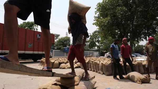 Trigo sube, daños en cosechas de EE.UU. e India amenazan el suministrodfd