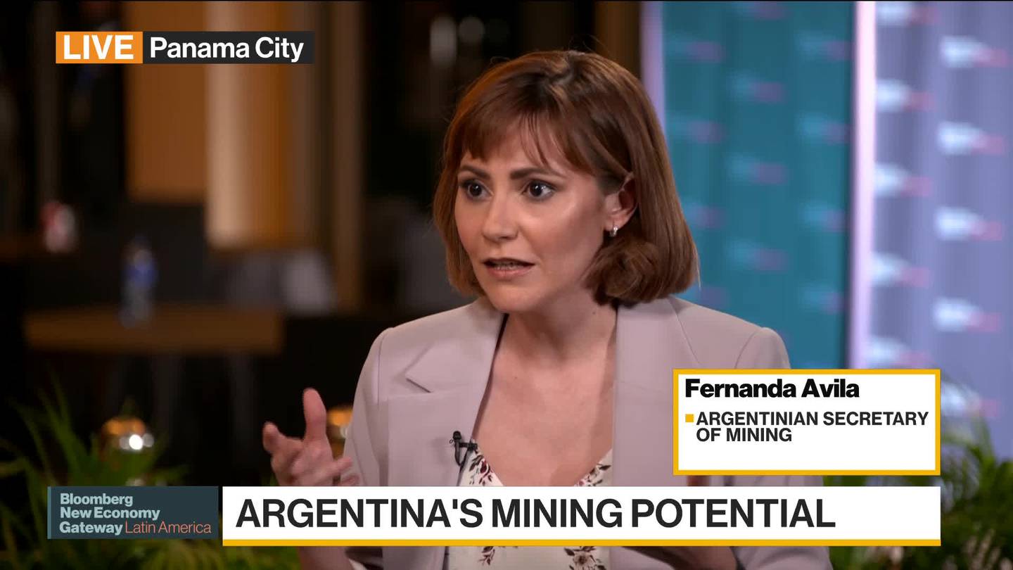 Argentina intenta fomentar las inversiones en litio y cobre. dfd