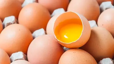 El 19 de septiembre por la noche, la comercializadora de pollo, huevo y otras proteínas informó al público inversionista la opinión del experto independiente sobre el precio de la Oferta Pública Voluntaria de Adquisición.
