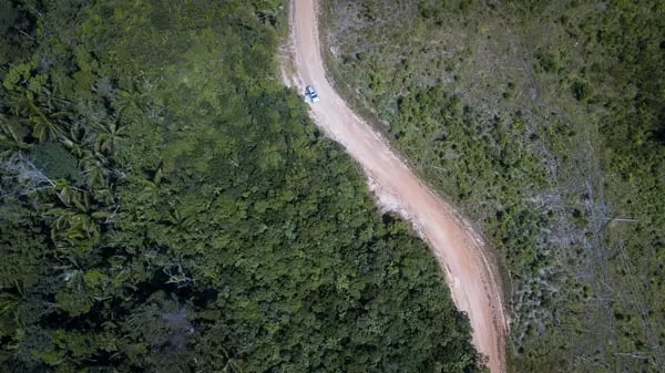 An aerial drone view shows an area affected by deforestation, on a rural road in El Capricho, a town on the outskirts of San Juan del Guaviare, Colombia, on Thursday, November, 11, 2021.