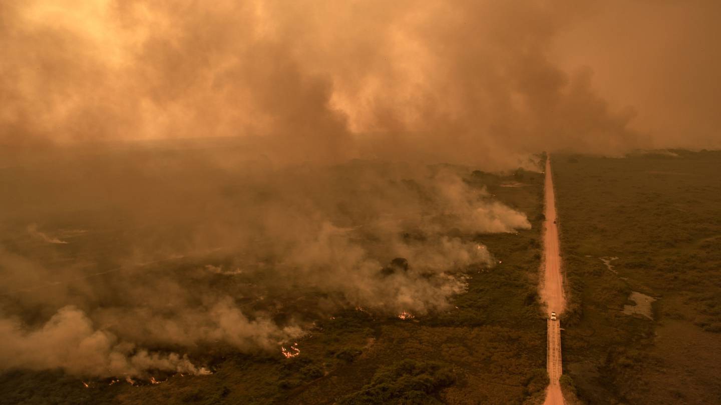 El humo de los incendios forestales se cierne sobre el dosel del bosque en los humedales del Pantanal, Brasil.