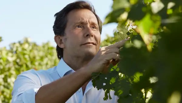 Alberto Arizu, CEO de Luigi Bosca: ‘El negocio local del vino se va a depurar’dfd