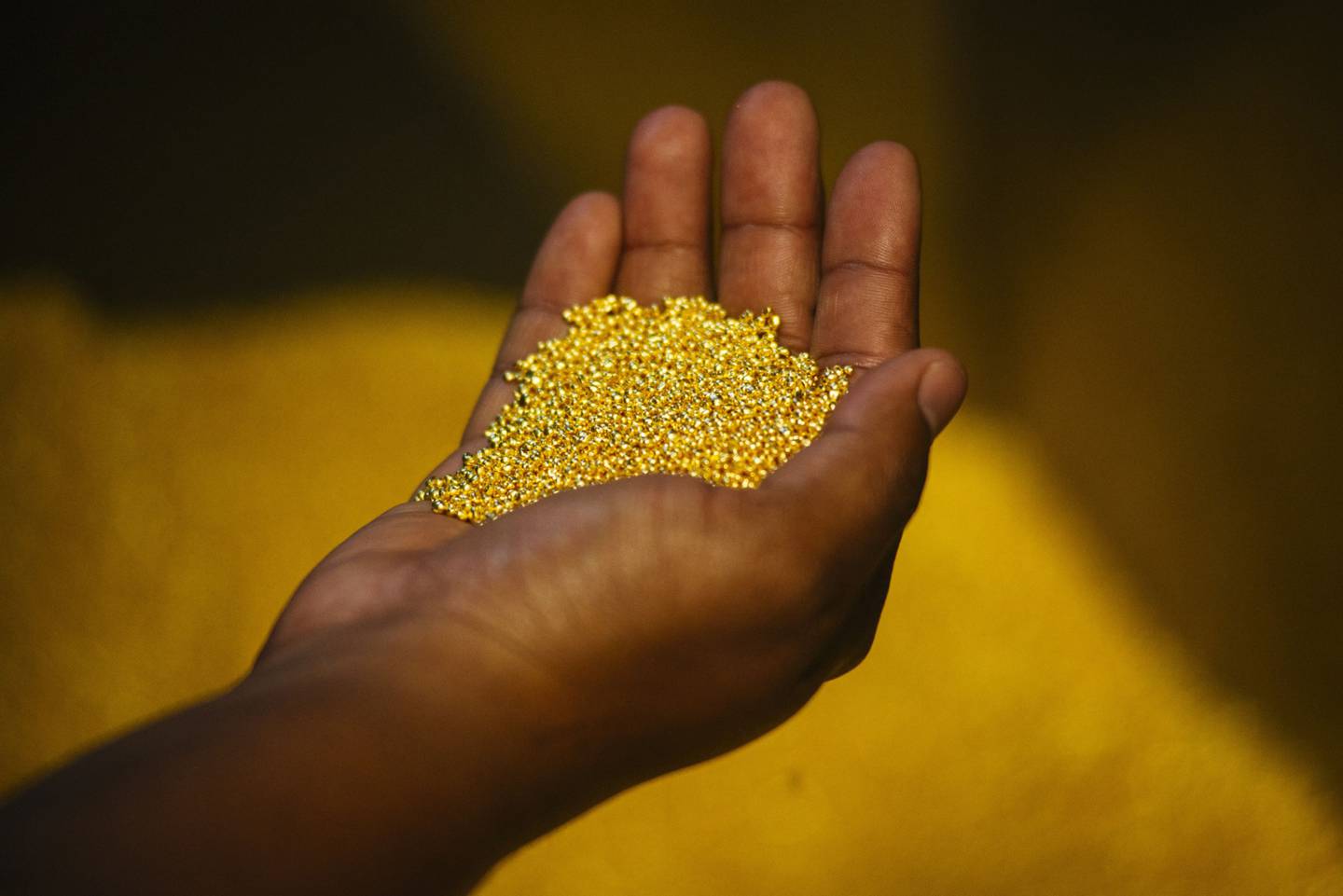 Un trabajador con granos de oro en Sudáfrica