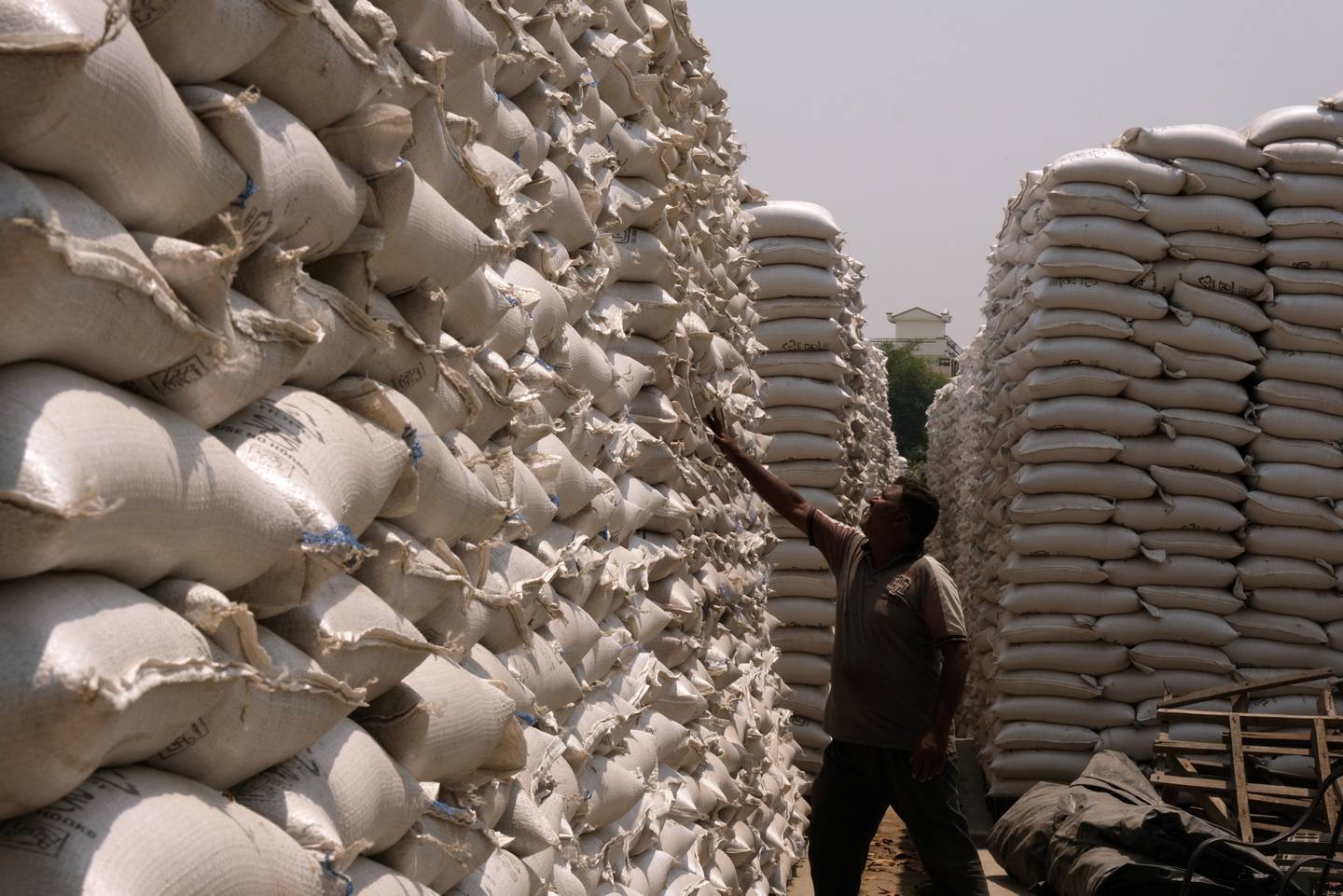 Empresas que atuam em países africanos começam a substituir o trigo por alternativas mais baratas