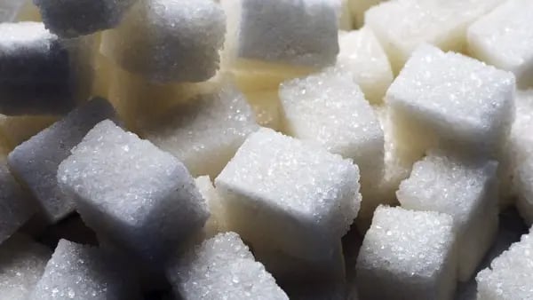 Dominicana produce azúcar obtenida del trabajo forzoso de haitianos: reporte dfd