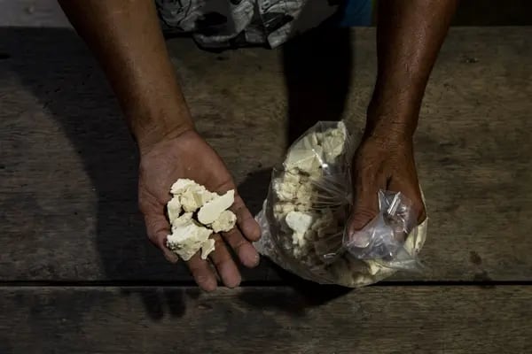 Cocaína producida en Colombia alcanzó 1.700 toneladas: hectáreas de coca subieron 13%