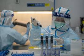 Unicórnio de testes de covid faz apostas para mundo pós-pandemia