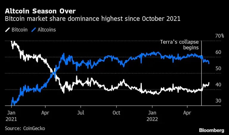 El dominio de mercado del bitcoin es el más alto desde octubre de 2021dfd