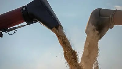 Produção mundial de soja será ainda menor do que o esperado