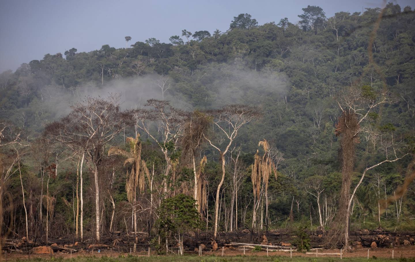 Deforestation in an environmentally protected area near Sao Felix do Xingu, Para state, Brazil.