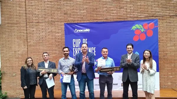 Cup of Excellence 2022: Estas son las 30 fincas con el mejor café de Guatemaladfd