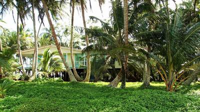 Iguana Island, el paraíso nicaragüense a la venta por US$ 475.000dfd