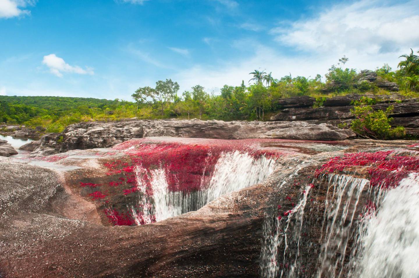 Caño Cristales, Colombiadfd