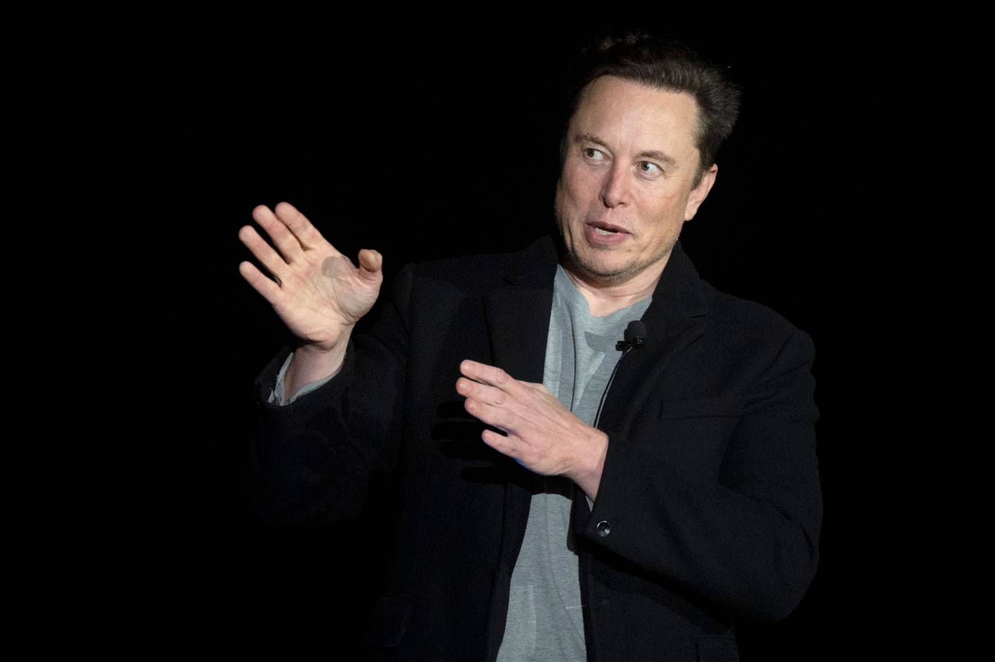 Musk, la persona más rica del mundo y Cathie Wood, gestora del ETF, ARK Innovation, creen que la inversión pasiva ha ido "demasiado lejos"