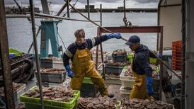 Tensiones entre Reino Unido y Francia aumentan por licencias de pesca tras Brexit