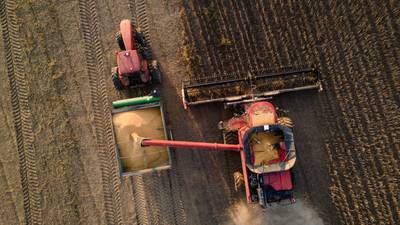 Precio de la soja se desploma en Chicago tras reporte de cosecha récord en EE.UU.dfd