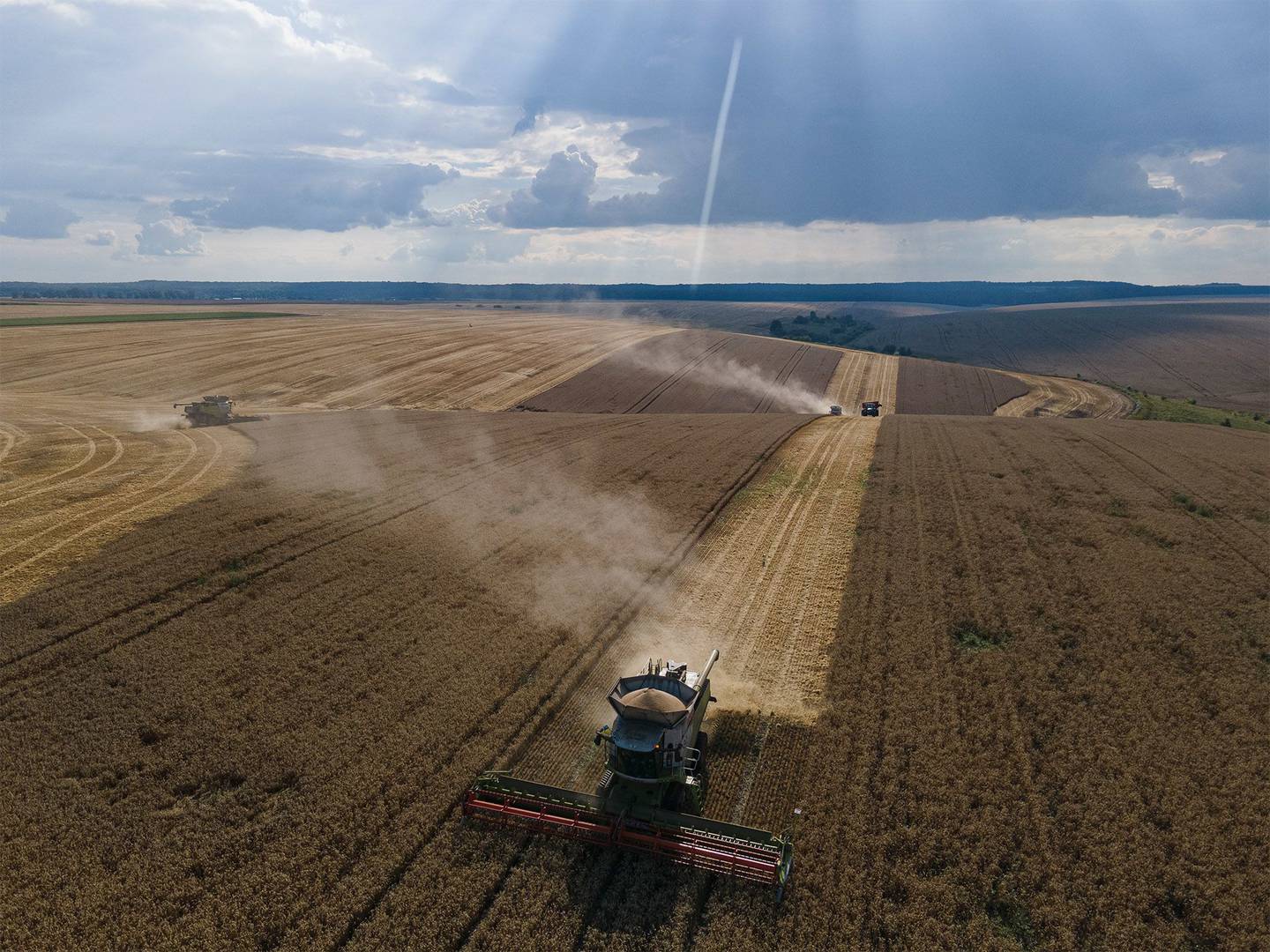 Imagen de una cosecha de grano