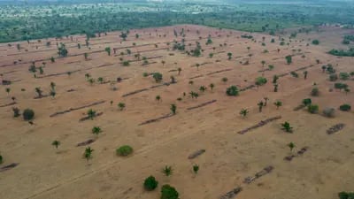 Mercado de carbono pode ser uma saída para a diminuição do desmatamento ilegal da Amazônia, que vem batendo sucessivos recordes ano após ano