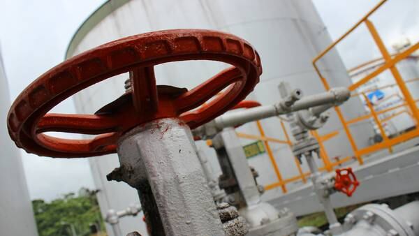 Ecuador reabrirá 1.000 pozos petroleros para alcanzar su meta de produccióndfd
