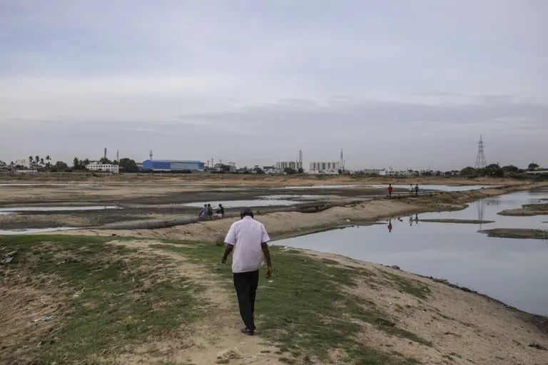 A man walks across the bottom of the dried-out Porur Lake during a drought in Chennai, India, July 5, 2019.  Photographer: Dhiraj Singh/Bloombergdfd