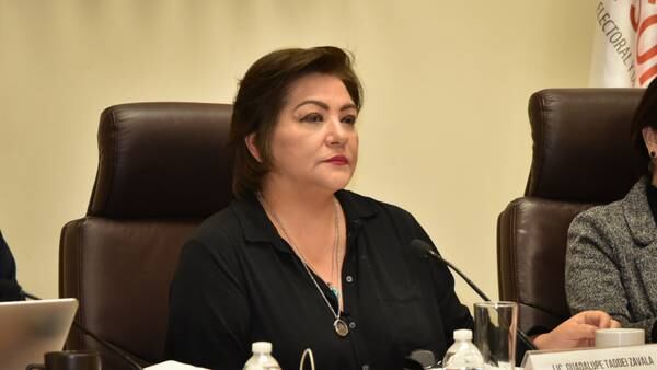 Guadalupe Taddei Zavala es la nueva presidenta del instituto electoral en Méxicodfd