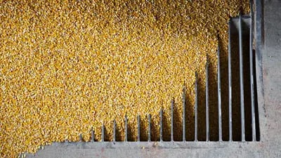 El maíz se descarga de un camión de granos en el elevador Michlig Grain LLC en Sheffield, Illinois, EE. UU., el martes 2 de octubre de 2018.