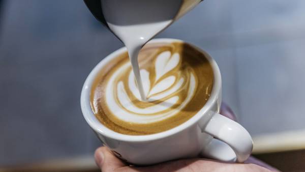 Principales cafeterías de China empezarán a servir café 100% colombianodfd