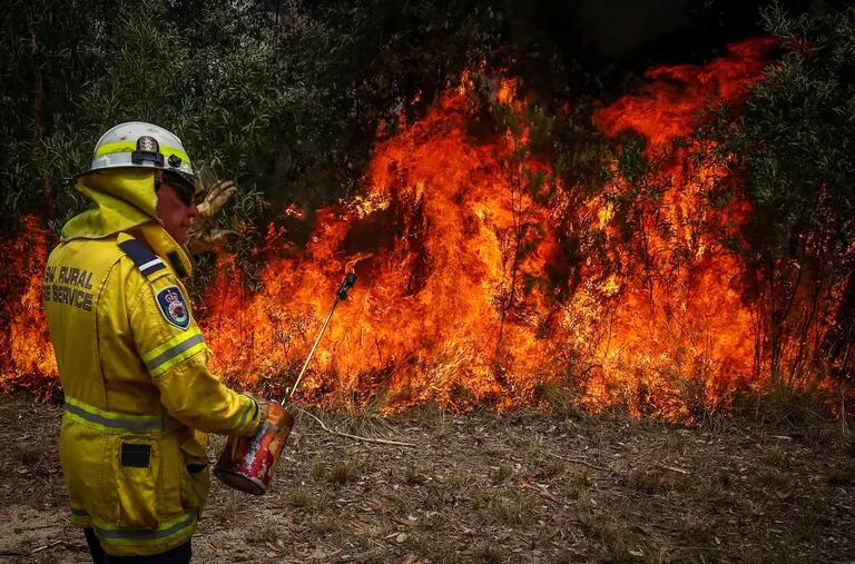 El Niño favorece a seca na região, o que torna as florestas mais propensas a incêndios (Foto: David Gray/Bloomberg)dfd