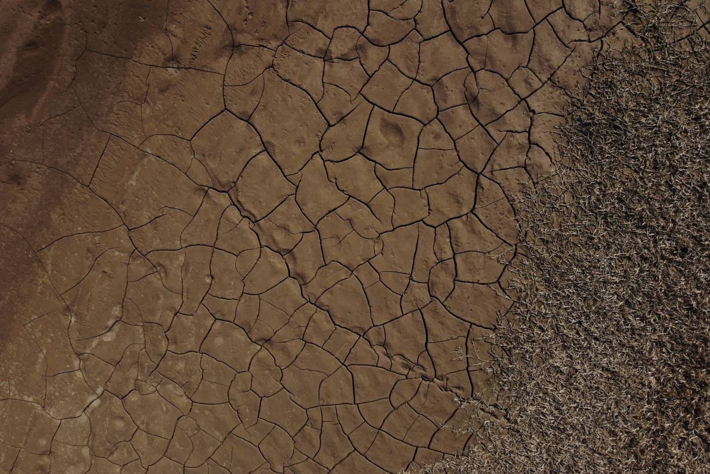 Suelo seco y agrietado a lo largo del río Paraná durante la sequía en Rosario.