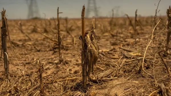 Risco de mais seca aumenta com 82% de chance de La Niña este anodfd