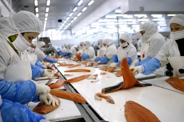 Trabajadores filetean salmón en una planta procesadora en Puerto Montt, Chile. Fotógrafo: Luis Sergio/Bloomberg