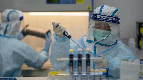 Unicórnio de testes de covid faz apostas para mundo pós-pandemiadfd
