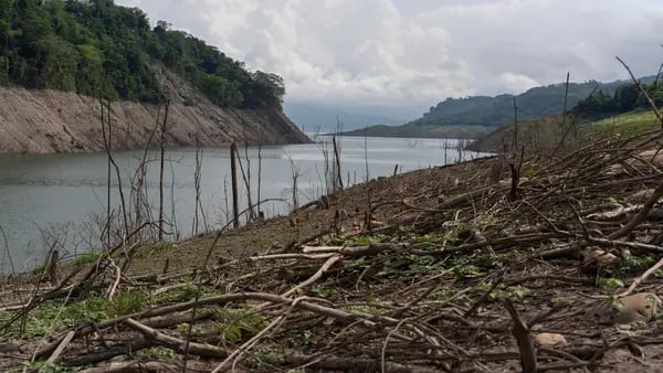 Hidroeléctricas en Colombia operan al 45%: impacto y lecciones de la crisisdfd