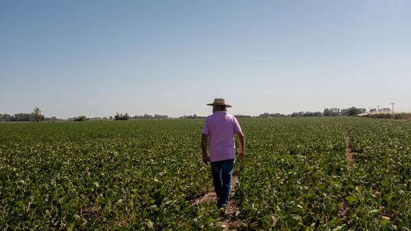 Gobierno argentino pide a cerealeras que traigan US$1.000 millones la próxima semanadfd