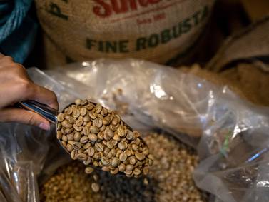 Café robusta alcanza un récord; El Niño agrava el temor sobre niveles de ofertadfd