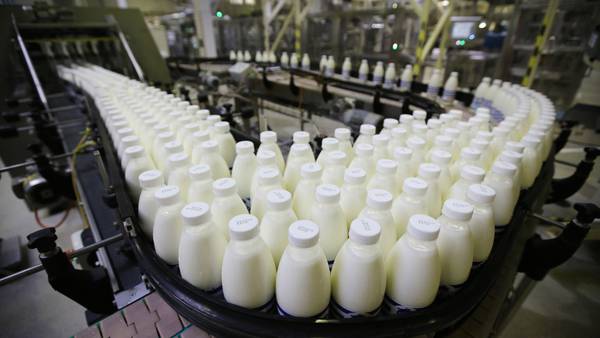 Crisis de lecheros en Colombia lleva a un déficit de 1,6 millones de litros díadfd