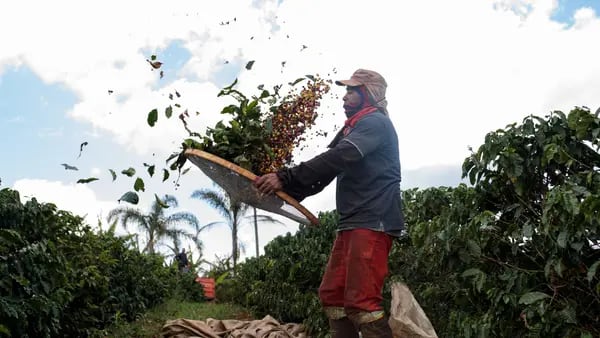 Fertilizantes en Colombia: ¿Un problema de escasez, de precio o de ambas?dfd
