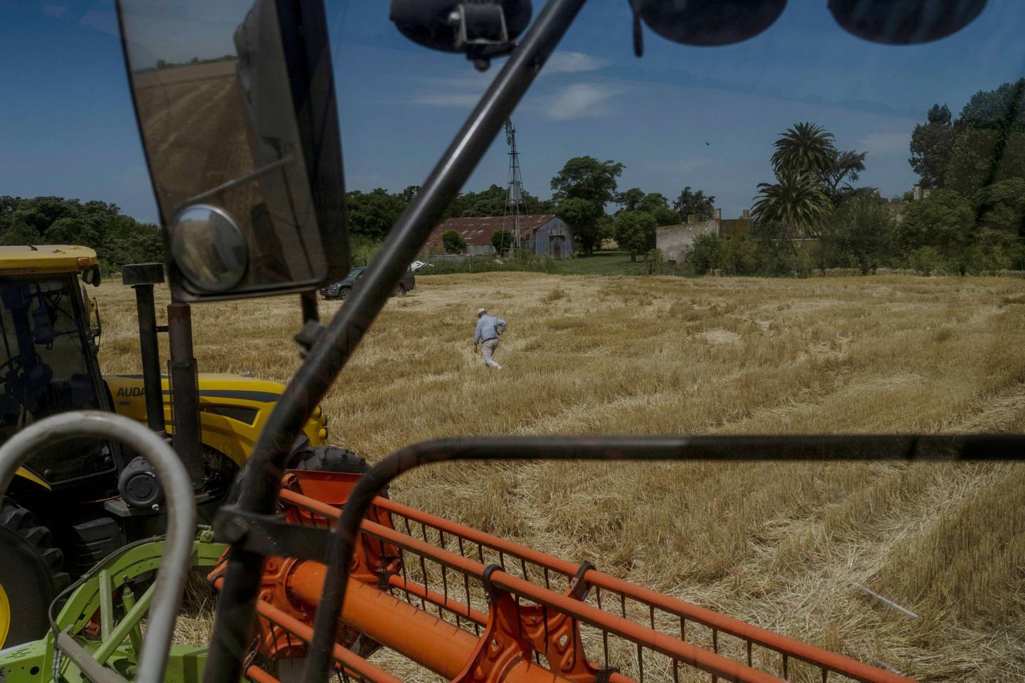 Un agricultor camina por un campo de trigo durante una cosecha en Bragado, Argentina, el jueves 2 de diciembre de 2021.