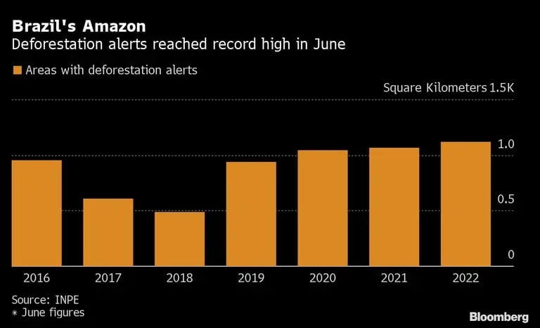Brazil's Amazon | Deforestation alerts reached record high in Junedfd