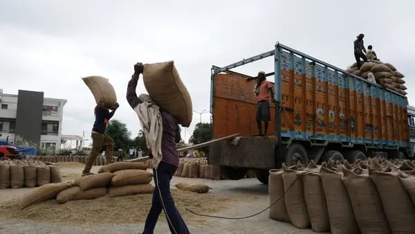 Los altos precios del arroz conllevan un riesgo de disturbios sociales, dice la ONUdfd
