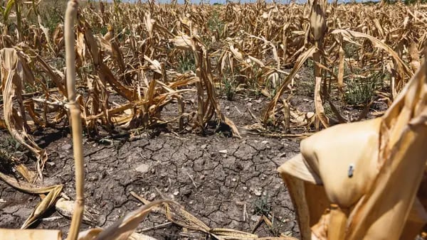Más cepo en Argentina: por la sequía, el Gobierno deberá cuidar más las reservasdfd