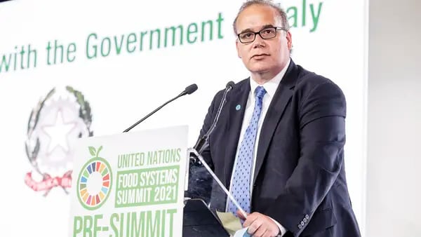 Economista jefe de la FAO: ocho acciones para vencer al hambre en Latinoaméricadfd