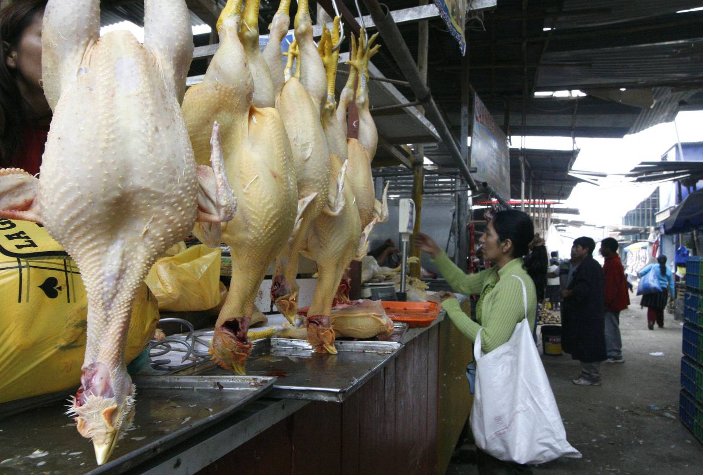 Subió el precio del pollo eviscerado (4,1%), gallina eviscerada (4,0%), menudencia de pollo (3,3%), cortes de pollo, como pierna (2,8%) y pechuga (2,6%); y el pavo eviscerado (2,0%).dfd