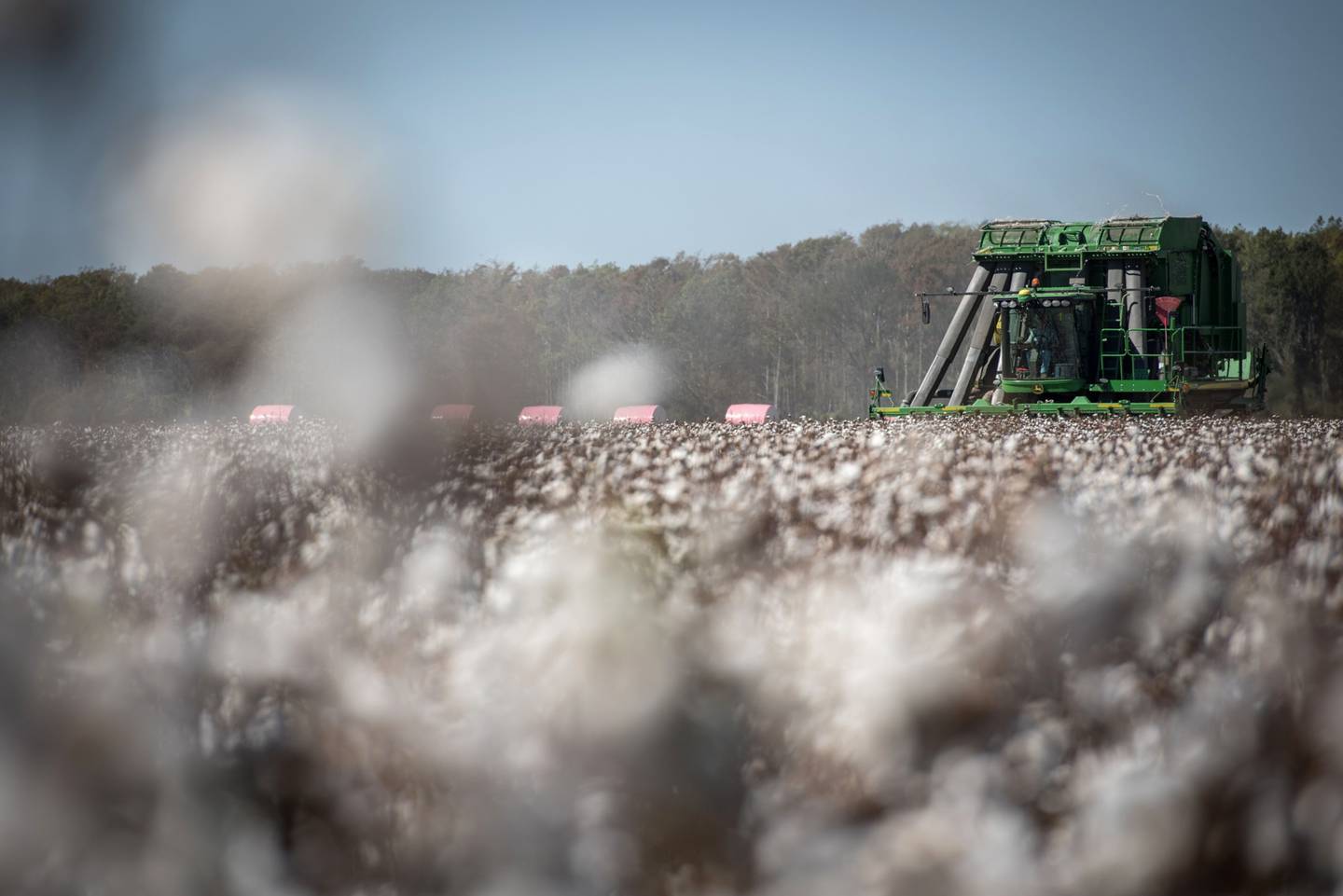 The increase in the price of cotton has put pressure on El Salvador's textile industry.