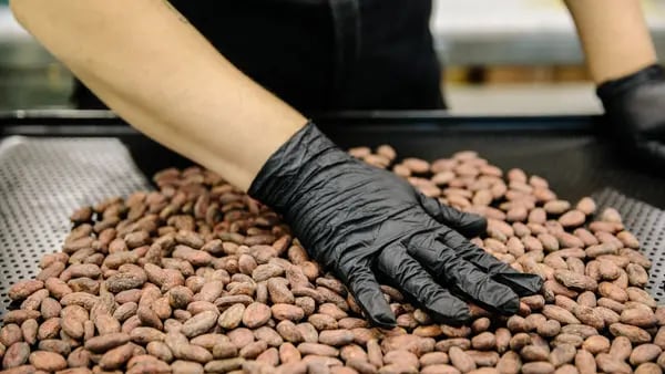 Reyes del cacao: ¿qué países de América Latina y el Caribe producen los mejores?dfd