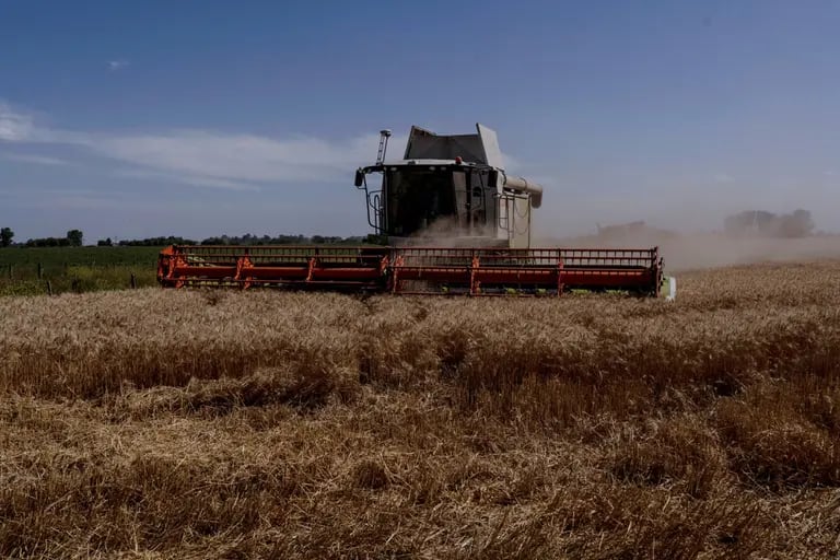 Gobierno busca acelerar la liquidación de granosdfd