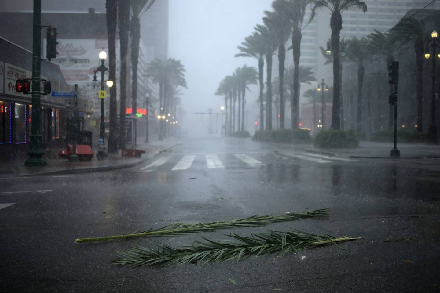 Escombros de palmeras en la calle durante el huracán Ida en Nueva Orleans, Luisiana, Estados Unidos, el domingo 29 de agosto de 2021.