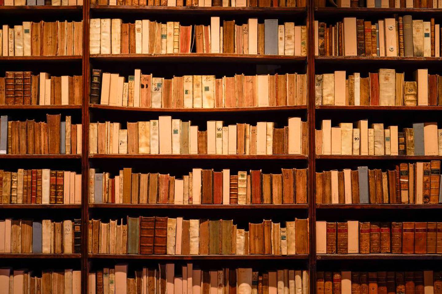 Cerca de 1.600 livros foram contestados ou removidos de bibliotecas, escolas e universidades no ano passado