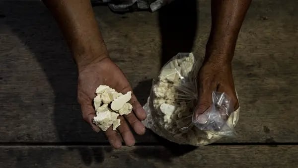 Cocaína producida en Colombia alcanzó 1.700 toneladas: hectáreas de coca subieron 13%dfd